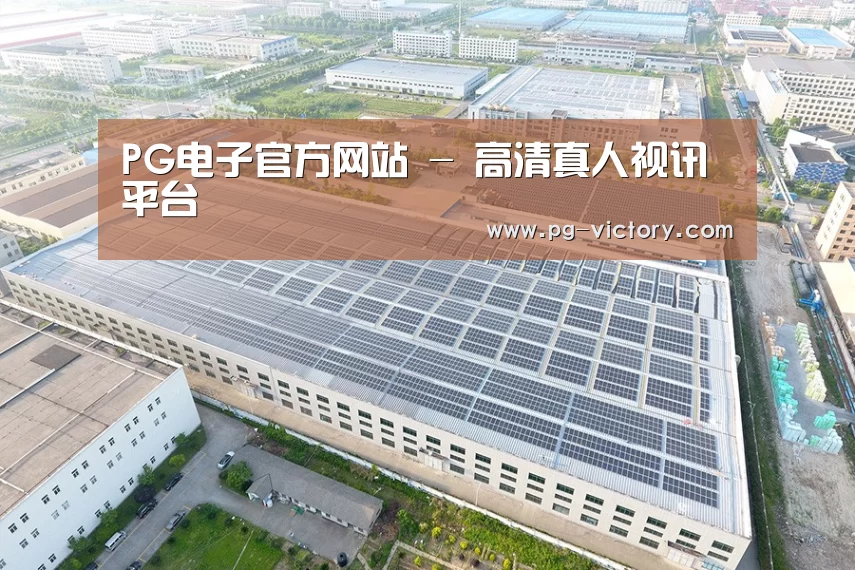 案例展示一