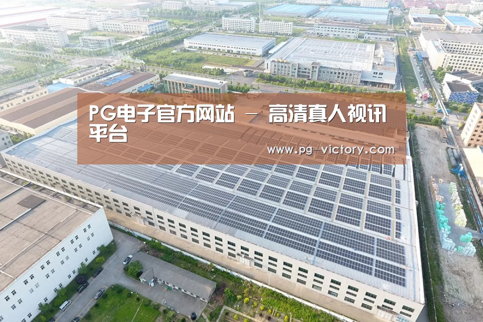 案例展示二