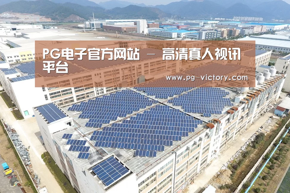 案例展示二