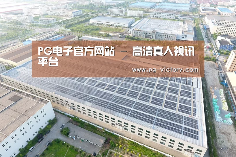 案例展示二