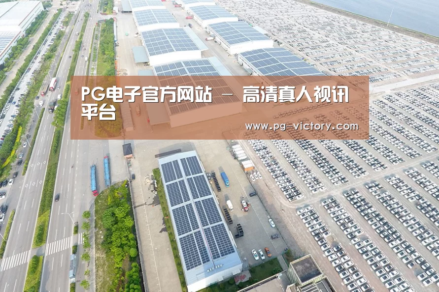 案例展示一