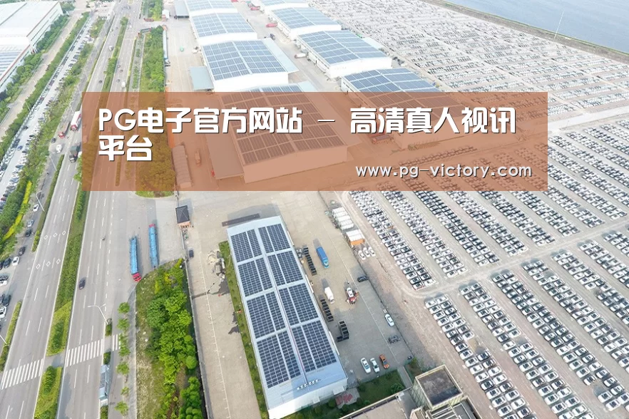 案例展示四