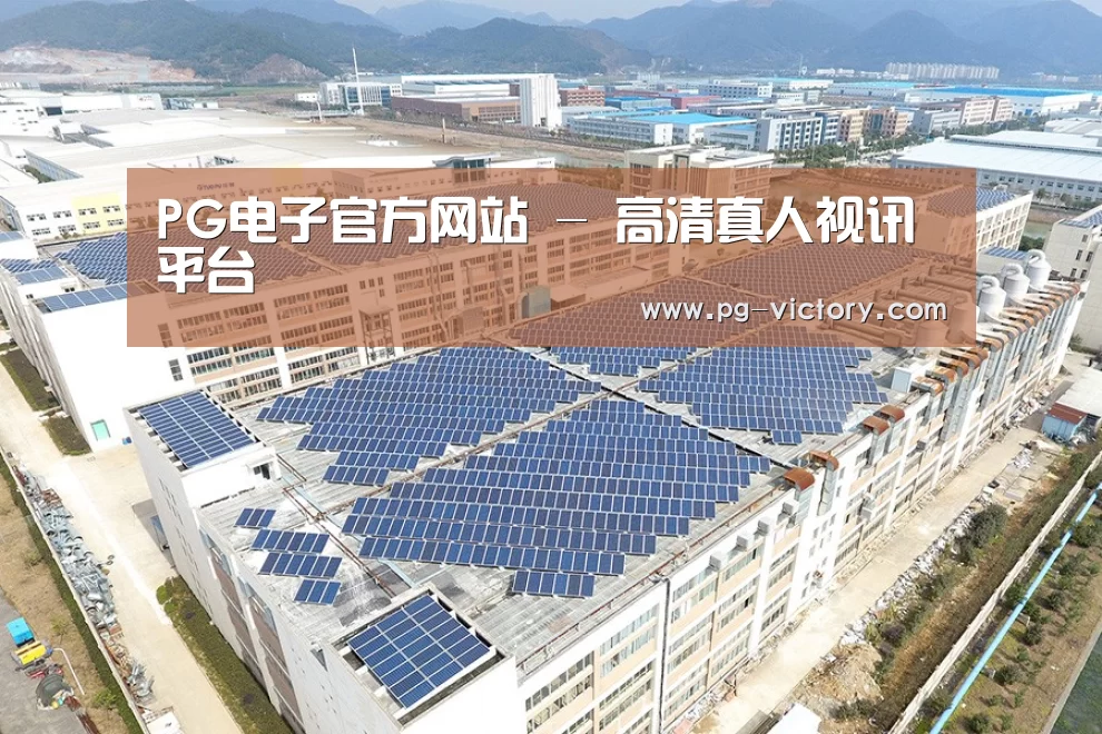 案例展示四