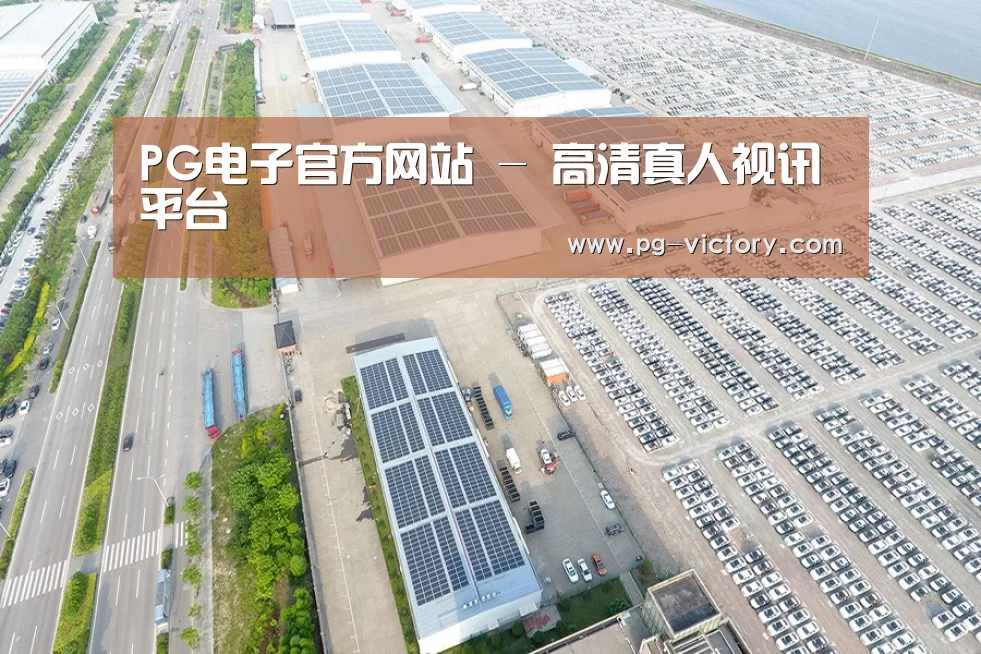 案例展示三