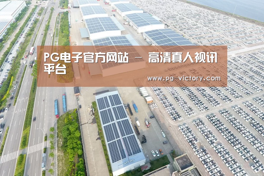 案例展示二