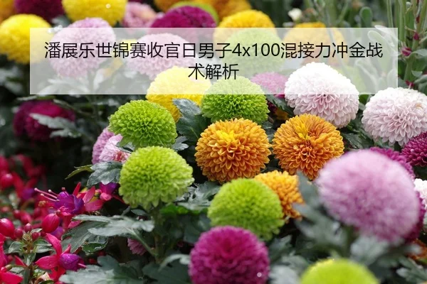 潘展乐世锦赛收官日男子4x100混接力冲金战术解析